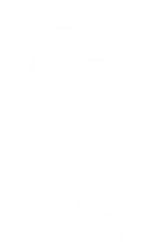 Unique IP Solutions logo